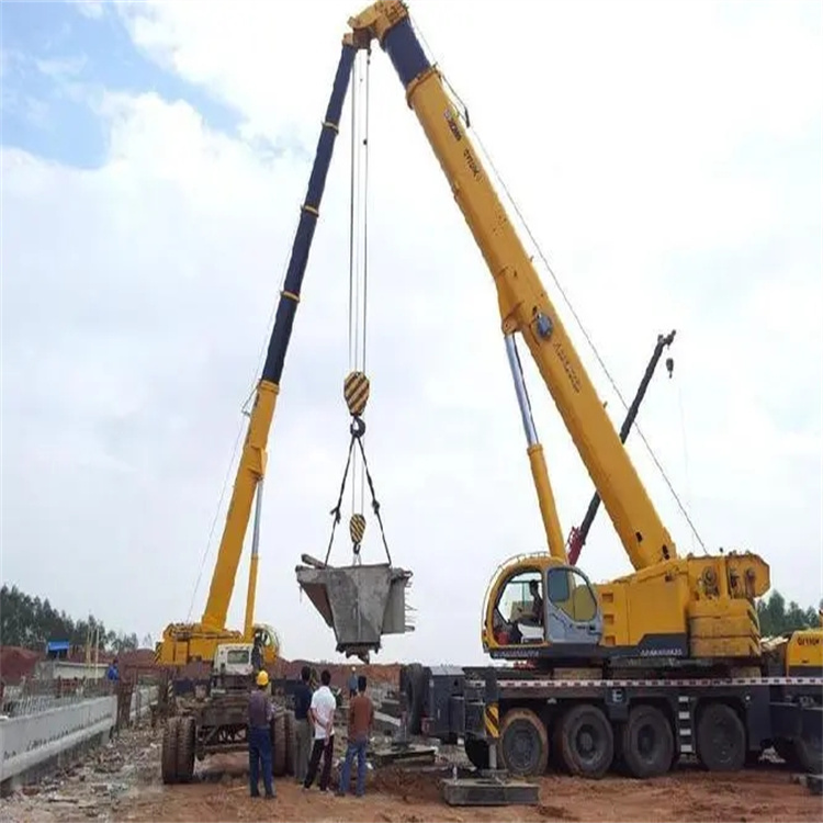海棠湾镇小型吊机出租电话|厂房设备吊装方案|24小时服务覆盖